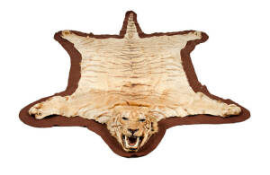 TIGER SKIN RUG: Handsome skin rug with taxidermied head. This tiger was trophied by the vendor's grandfather in 1927 in Malaya near the town of Ipoh where it was menacing local children & livestock. Length 225cm, width 142cm