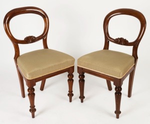 A pair of antique Australian cedar balloon back dining chairs, 19th century,