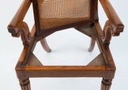 A fine antique Colonial cedar carver chair with reeded legs, in the Regency style, Tasmanian origin, early 19th century. Illustrated in "A Guide To Collecting Australiana" by Juliana and Toby Hooper (fig. 38). 89cm high, 57cm across the arms. PROVENANCE: - 2