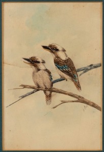 ALICE M. CAYLEY (1889 - 1960), Two Kookaburras, watercolour, signed lower right, 20 x 13cm; framed 34 x 26cm. Note: Repaired tear from left margin to centre of image.