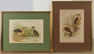 A group of framed & glazed items including three Broinowski bird prints, a Conrad Martens lithograph and four other items, the largest 82 x 65cm. Total: 8 items.