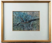 TESSA PERCEVAL (1947 - ), Kookaburras, pastel, signed lower right "Tessa Perceval '97", 29cm x 42cm, 63cm x 77cm overall, ​​​​​​​ PROVENANCE: The Martin Sachs Collection, Melbourne - 2