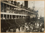 "ADELAIDE STEAMSHIP COMPANY LIMITED" photo advertising display by SEARS PHOTOGRAPHERS, mounted on original card with captions, early 20th century, 61 x 76cm overall - 3