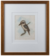 J.M. CANTLE (Australian School), Kookaburra on branch, watercolour, signed lower centre "J.M. Cante", ​17 x 14cm