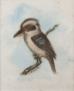 J.M. CANTLE (Australian School), Kookaburra on branch, watercolour, signed lower centre "J.M. Cante", ​17 x 14cm - 2