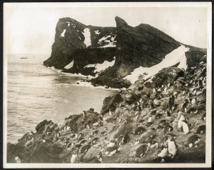 THE B.A.N.Z. ANTARCTIC EXPEDITION: Official original photograph by Captain Frank Hurley: Image A37 - Title: Charting treacherous Sub-Antarctic Coasts, with official "MAWSON ANTARCTIC EXPEDITION" handstamp and release date "TUESDAY APR.15, 1930" verso, tog