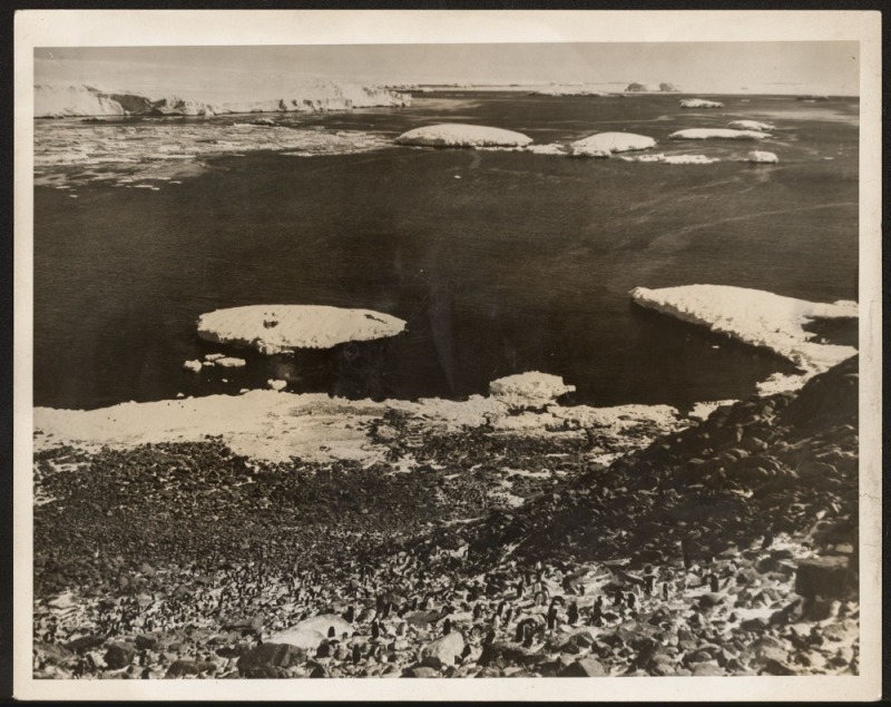 THE B.A.N.Z. ANTARCTIC EXPEDITION: Official original photograph by Captain Frank Hurley: Image A69 - Title: A New Port in Antarctica, with official "MAWSON ANTARCTIC EXPEDITION" handstamp and release date "TUESDAY MAY 13, 1930" verso, together with offici