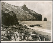 THE B.A.N.Z. ANTARCTIC EXPEDITION: Official original photograph by Captain Frank Hurley: Image A2 - Title: Peace after Storm, with official "MAWSON ANTARCTIC EXPEDITION" handstamp and release date "THURSDAY FEB.13, 1930" verso, together with the official