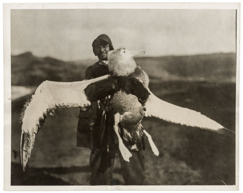 THE B.A.N.Z. ANTARCTIC EXPEDITION: Official original photograph by Captain Frank Hurley: Image A5 - Title: The Belle of Crozet, with official "MAWSON ANTARCTIC EXPEDITION" handstamp and release date "THURSDAY FEB.13, 1930" verso, together with the officia