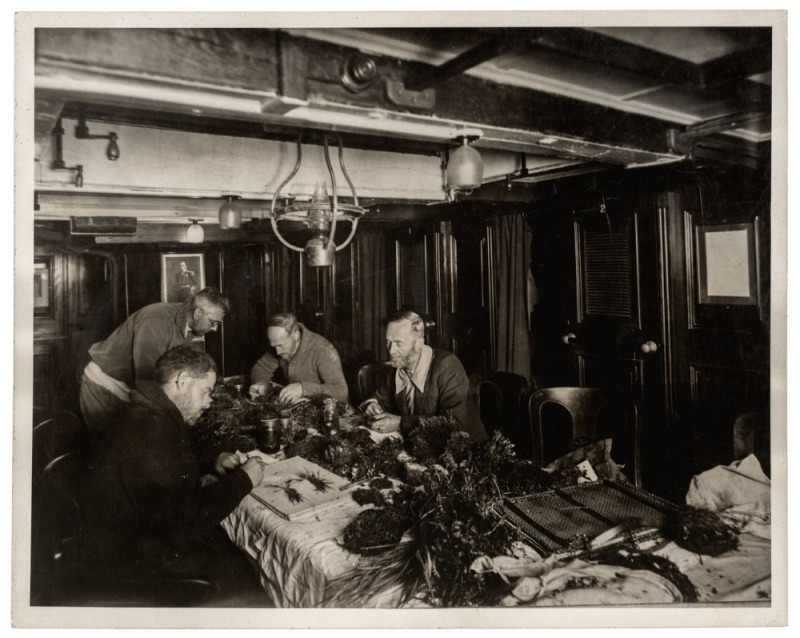 THE B.A.N.Z. ANTARCTIC EXPEDITION: Official original photograph by Captain Frank Hurley: Image A6 - Title: Classifying the treasures, with official "MAWSON ANTARCTIC EXPEDITION" handstamp and release date "THURSDAY FEB.13, 1930" verso, together with the o