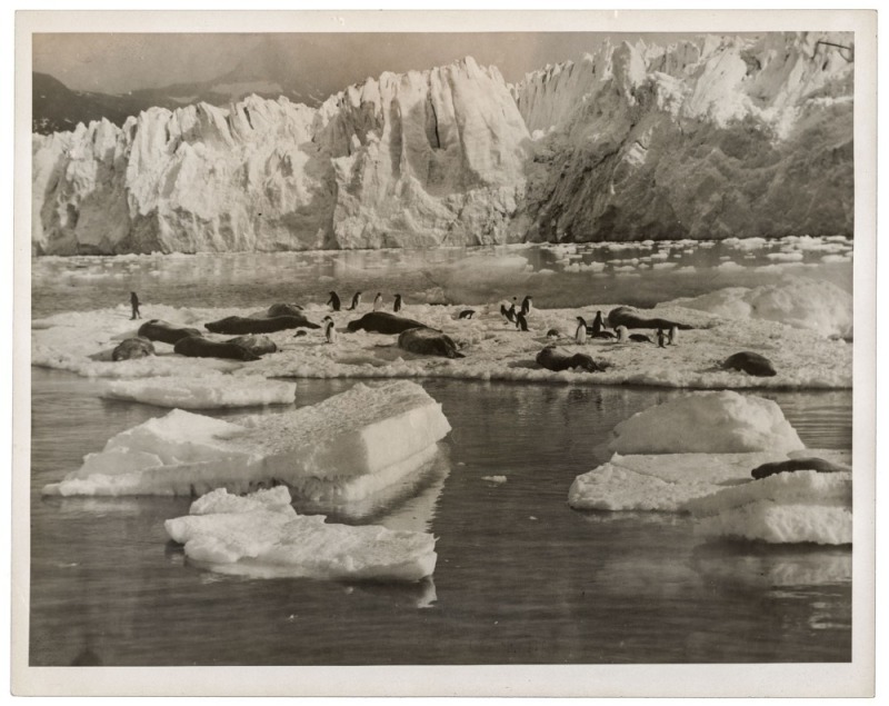 THE B.A.N.Z. ANTARCTIC EXPEDITION: Official original photograph by Captain Frank Hurley: Image A80 - Title: An Antarctic Ferry. with official "MAWSON ANTARCTIC EXPEDITION" handstamp and release date "TUESDAY MAY 27, 1930" verso, together with official pri