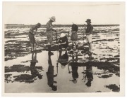 THE BRITISH SCIENTIFIC EXPEDITION ON THE GREAT BARRIER REEF 1928-29: Official original photographs by Charles Leslie Barrett (1879 - 1959: A collection of twenty-five original photographs, most with Barrett's notes affixed verso and several with the offic