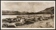 THE B.A.N.Z. ANTARCTIC EXPEDITION: Official original photograph by Captain Frank Hurley: Image A15 - Title: A Cradle of Sea-Elephant Life in the remote Crozet Islands, with official "MAWSON ANTARCTIC EXPEDITION" handstamp and release date "MONDAY FEB.24,