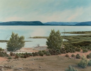 DAVID CLYDE DRIDAN (1932 - ), Calm Waters, Koorong, oil on canvas, signed lower left "Dridan", 70 x 80cm, 88 x 110cm overall