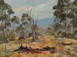 NAPIER (Australian), (untitled bush landscape), oil on board, signed lower right "Napier", 44 x 59cm, 64 x 80cm overall