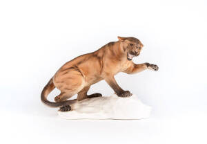 BESWICK: Porcelain statue of a Puma in matt glaze. Height 21cm, width 30cm.