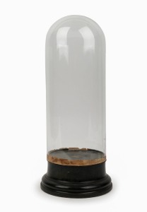 An antique glass dome on ebonized and turned timber plinth, 19th century, 42cm high overall