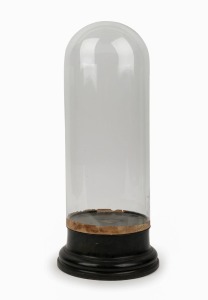 An antique glass dome on ebonized and turned timber plinth, 19th century,  42cm high overall
