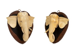 An antique carved ivory elephant plaque on ebony wall mount, 19th century, 14cm high overall