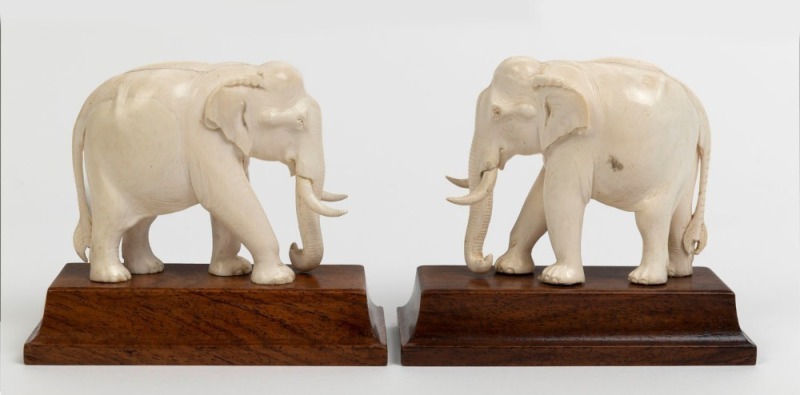 A pair of carved ivory elephant statues on timber bases, 19th/20th century, ​​​​​​​12cm high, 14cm long overall