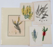 BOTANICAL: A range of engravings and colour lithographs, circa 1790s-1880s, (7 items); various sizes; 3 attractively block mounted, the largest 55 x 40cm overall. - 2