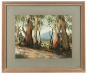 ARTIST UNKNOWN, Australian landscape, watercolour, signed lower right (illegible), ​​​​​​​34 x 44cm, 56 x 67cm overall - 2