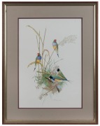 W. W. DELANEY, (finches), lithograph, 106/500, signed "W. W. Delaney", 50 x 36cm, 70 x 55cm overall - 2