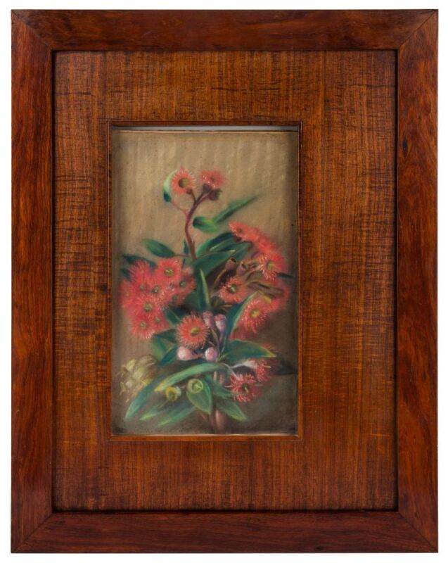 ARTIST UNKNOWN (Australian), (gum blossoms), pastel, in fine blackwood frame with fiddleback blackwood mount, 40 x 24cm, 70 x 55cm overall