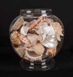 Collection of seashells in glass jar,  ​​​​​​​25cm high overall