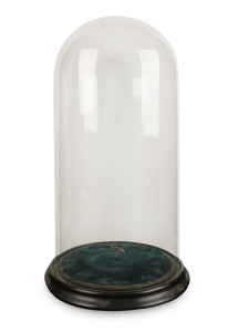 An antique glass display dome on ebonised base, 19th century, 43cm high