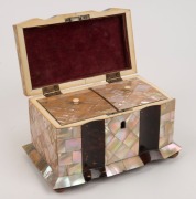 An antique English tea caddy, tortoiseshell and mother of pearl with ivory trim and fittings, 19th century, 12cm high, 20cm wide, 13cm deep - 2