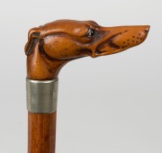 An antique walking stick with carved boxwood dog's head handle, silver plated collar, Malacca cane shaft&nbsp;and brass ferrule, 19th century, 89cm high - 2