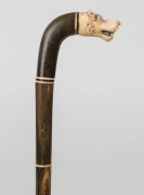 An antique walking stick with carved ivory mythical animal head handle, horn shaft with bone spacers and ivory ferrule, 19th century, 96cm high - 2