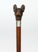 An antique walking stick with carved boxwood animal head handle, set with glass eyes, mounted with silver finished collar above a fiddleback&nbsp;timber shaft with brass ferrule, 19th century, 87cm high