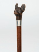 An antique walking stick with carved boxwood animal head handle, set with glass eyes, mounted with silver finished collar above a fiddleback&nbsp;timber shaft with brass ferrule, 19th century, 87cm high - 2