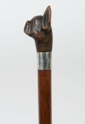 An antique walking stick with carved boxwood animal head handle, set with glass eyes, mounted with silver finished collar above a fiddleback&nbsp;timber shaft with brass ferrule, 19th century, 87cm high - 3