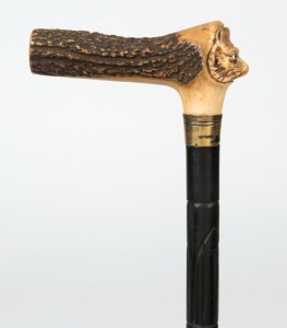 An antique walking stick with horn handle carved in the form of a fox head with glass eyes, gold plated collar and carved ebony shaft with remains of horn ferrule, 19th century, ​​​​​​91.5cm high