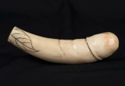 An antique Japanese carved ivory phallus netsuke, Meiji period 19th/20th century, 8cm long - 2