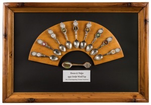 1992 Cricket World Cup: A framed display featuring nine World Cup souvenir spoons from each of the participating countries, plus a special one featuring the pavilion at Lords. Overall 42 x 61cm.