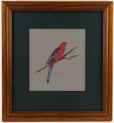 JOSIE WILLIAMSON, group of 10 assorted bird studies, watercolour and gouache, all signed and titled, the largest image 27 x 19cm - 4