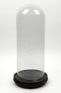 An antique cylindrical glass dome with ebonised timber base, 19th century, 50cm high overall