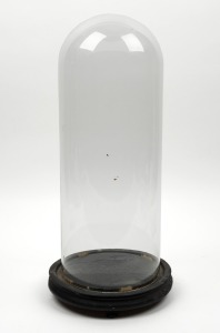 An antique cylindrical glass dome with ebonised timber base, 19th century, ​​​​​​​50cm high overall