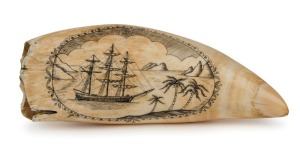 A scrimshaw whale's tooth adorned with tallship in tropical setting, 17.5cm high