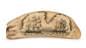 A scrimshaw whale's tooth adorned with cartouche depicting a sea battle, 16cm high