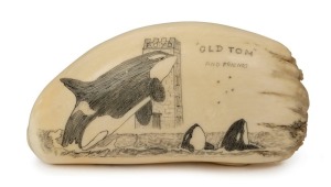 "OLD TOM AND FRIENDS" scrimshaw whale's tooth depicting the famous killer whale (orca) and the Boyd Tower, signed "Rene Davidson, Eden 17-7-2003", ​​​​​​​12cm high