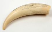 "WHALING IN TWOFOLD BAY 1828-1930" scrimshaw whale's tooth depicting Eden's Twofold Bay with whaling scene, signed "Rene Davidson, Eden 13-12-2003", 18cm high - 3