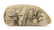 A scrimshaw whale's tooth titled "MASTER WHALER, TWOFOLD BAY, GEORGE DAVIDSON 1863-1952" depicting George holding a harpoon, signed "Rene Davidson, Eden 21-5-2003" 17cm high