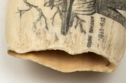 A scrimshaw whale's tooth titled "MASTER WHALER, TWOFOLD BAY, GEORGE DAVIDSON 1863-1952" depicting George holding a harpoon, signed "Rene Davidson, Eden 21-5-2003" 17cm high - 3