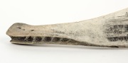 "HOBART TOWN" scrimshaw whale jawbone adorned with scene of Salamanca, Battery Point, Tasmania, 47cm long - 2