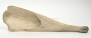 "HOBART TOWN" scrimshaw whale jawbone adorned with scene of Salamanca, Battery Point, Tasmania, 47cm long - 4